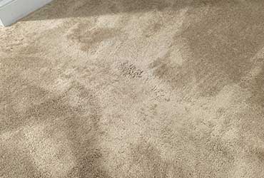 Worn out carpets